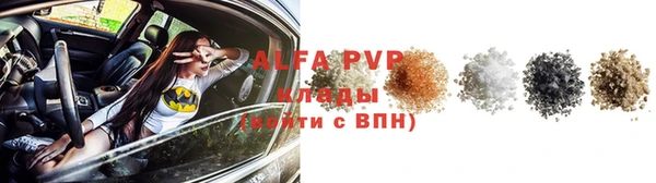 МДПВ Бородино