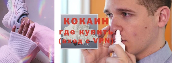 МДПВ Бородино