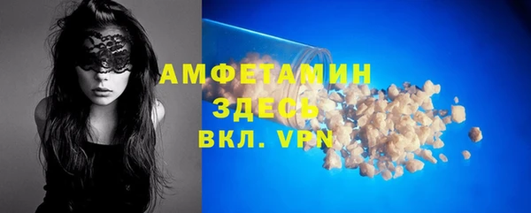МДПВ Бородино