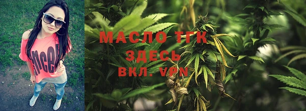 индика Верхний Тагил