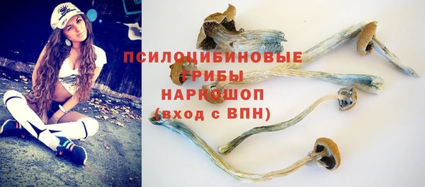 спиды Богданович